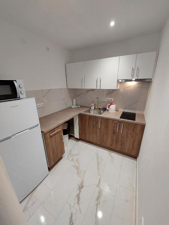 Vehlovice Apartments Melnik Bagian luar foto